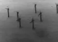 US Declassified UFO Files-Why Thinking We Are Alone Is a Mistake-techinfoBiT
