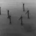 US Declassified UFO Files-Why Thinking We Are Alone Is a Mistake-techinfoBiT